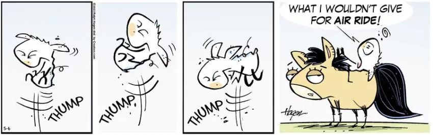 The Barn for May 06, 2023