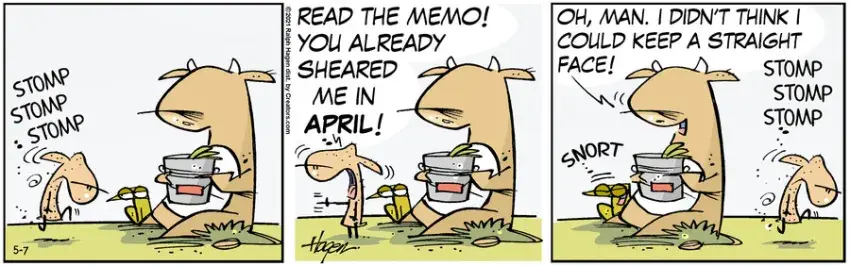 The Barn for May 07, 2021