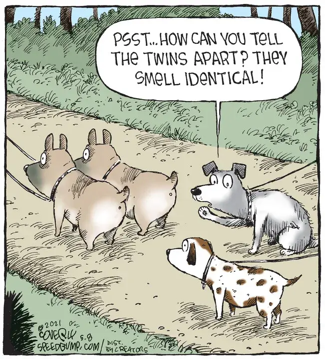 Speed Bump for May 08, 2021