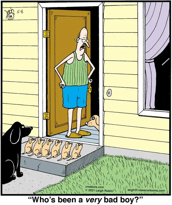 Rubes® for May 08, 2021