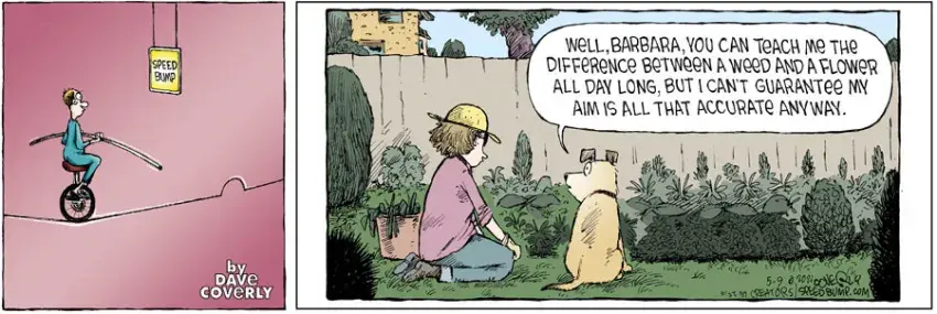 Speed Bump for May 09, 2021