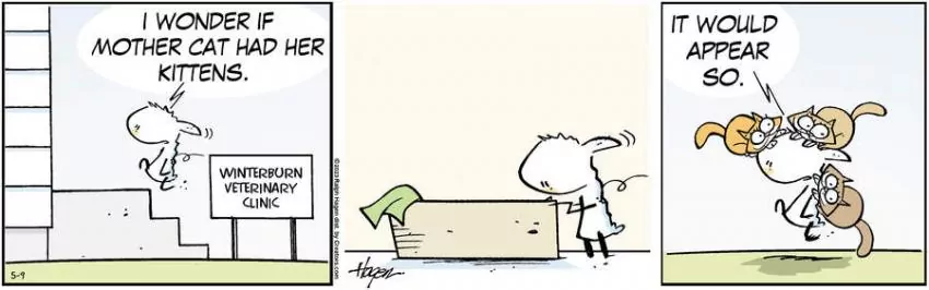 The Barn for May 09, 2023