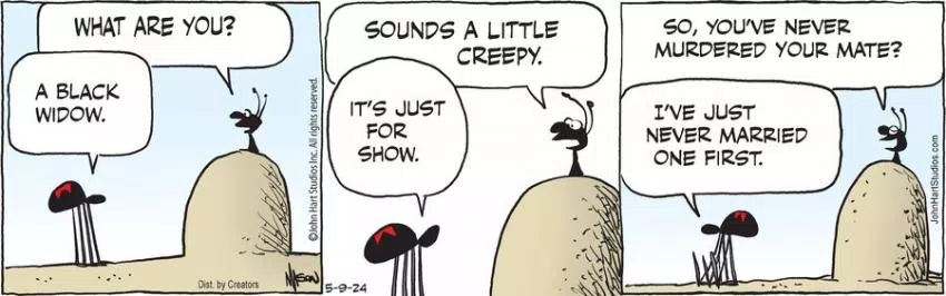 B.C. for May 09, 2024