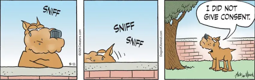 Dogs of C-Kennel for May 11, 2024