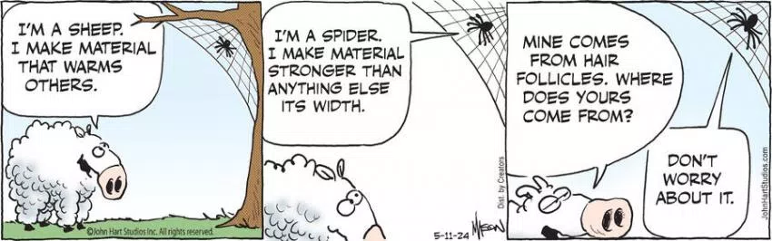 B.C. for May 11, 2024