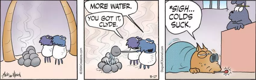 Dogs of C-Kennel for May 17, 2024