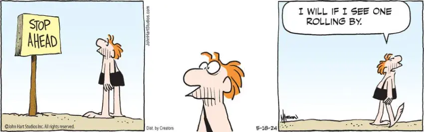 B.C. for May 18, 2024