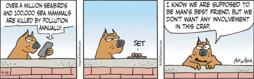 Dogs of C-Kennel for May 18, 2024