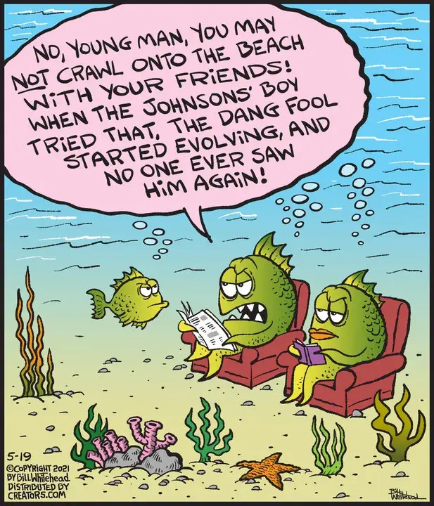 Free Range for May 19, 2021