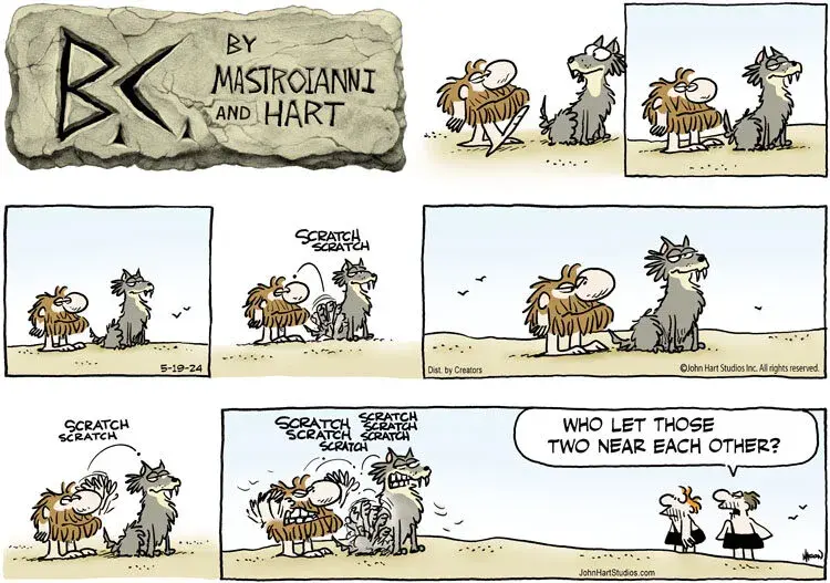 B.C. for May 19, 2024