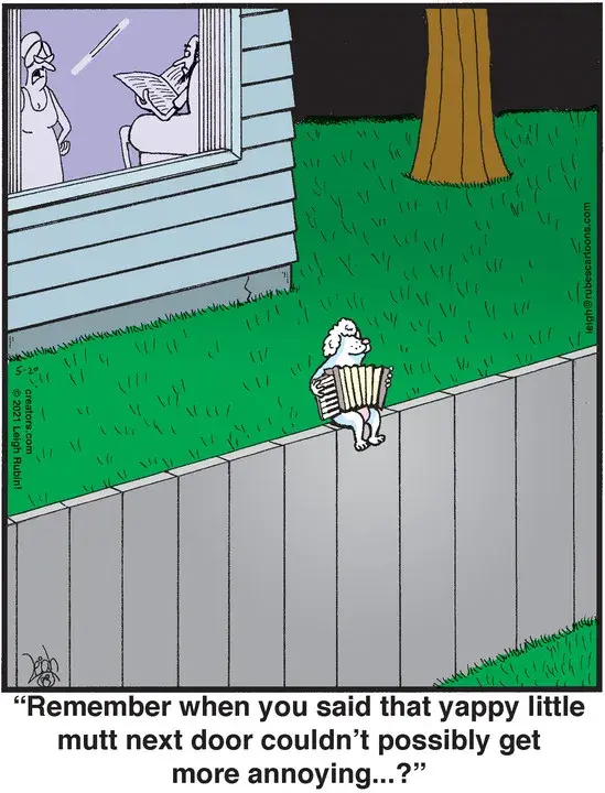 Rubes® for May 20, 2021