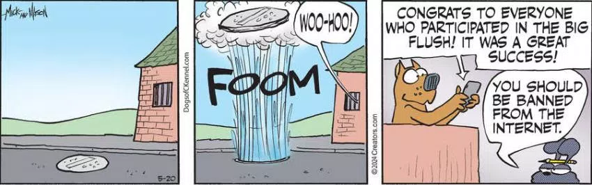 Dogs of C-Kennel for May 20, 2024