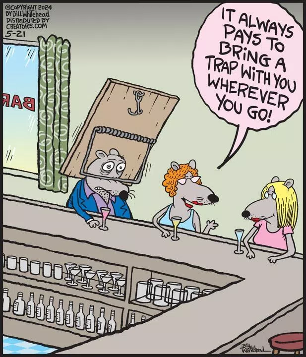 Free Range for May 21, 2024