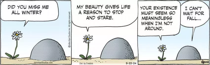 B.C. for May 22, 2024