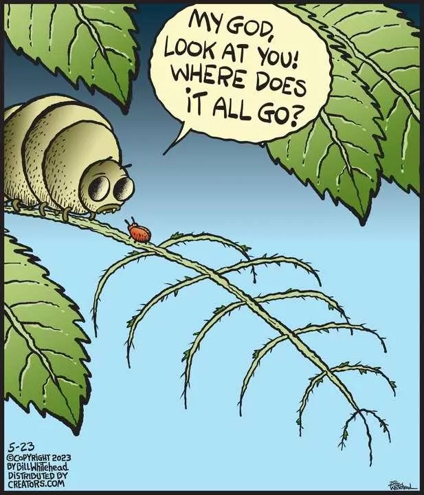 Free Range for May 23, 2023