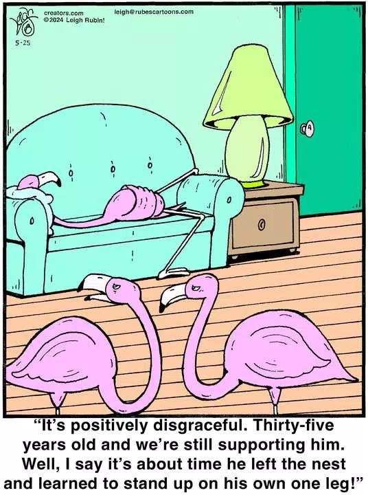 Rubes® for May 25, 2024