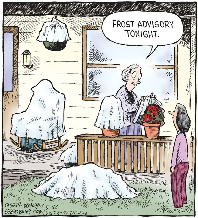 Speed Bump for May 26, 2022