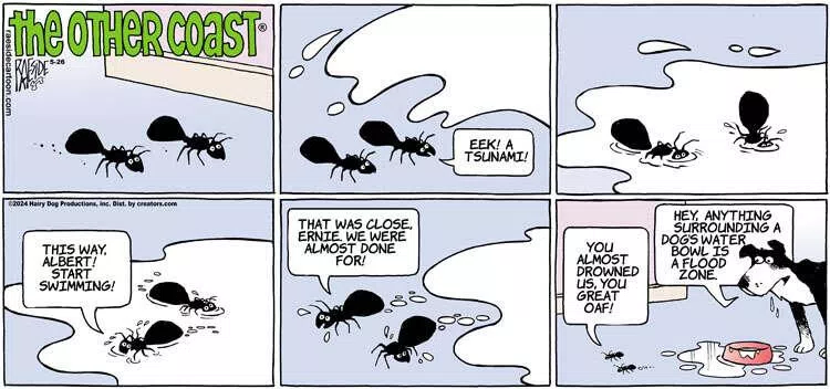 The Other Coast for May 26, 2024