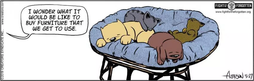 Dog Eat Doug for May 27, 2024