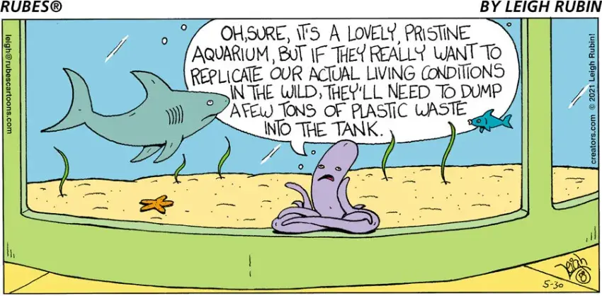 Rubes® for May 30, 2021