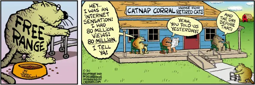 Free Range for May 30, 2021