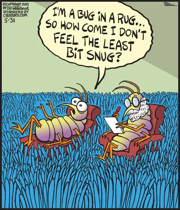 Free Range for May 31, 2021