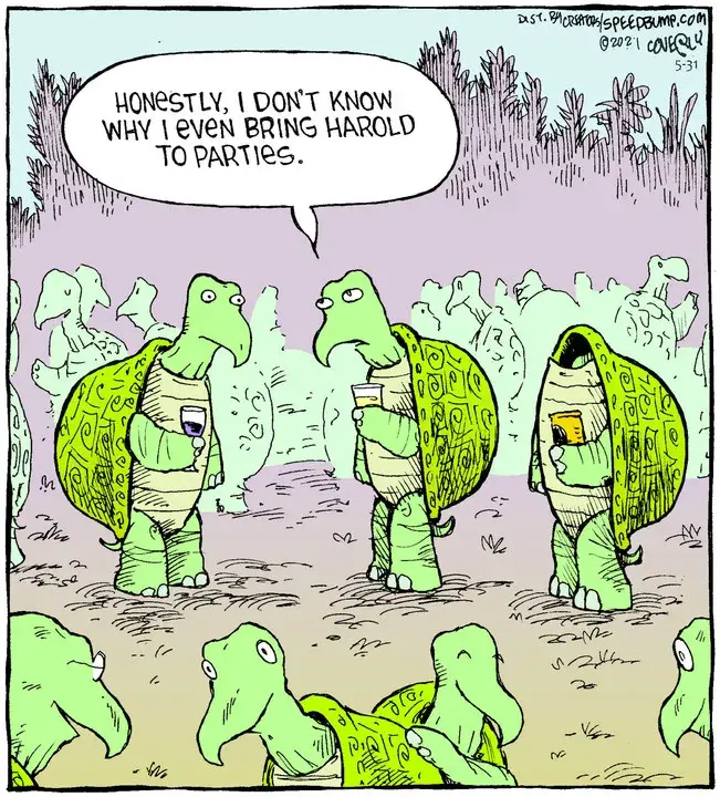 Speed Bump for May 31, 2021