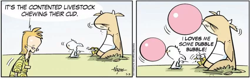 The Barn for May 31, 2023