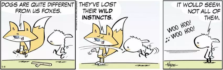 The Barn for May 31, 2024