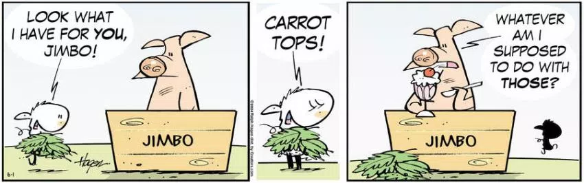 The Barn for Jun 01, 2024