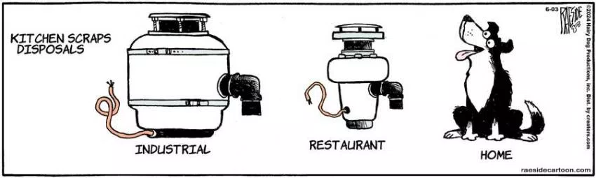 The Other Coast for Jun 03, 2024