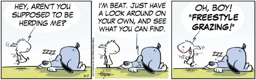 The Barn for Jun 07, 2021