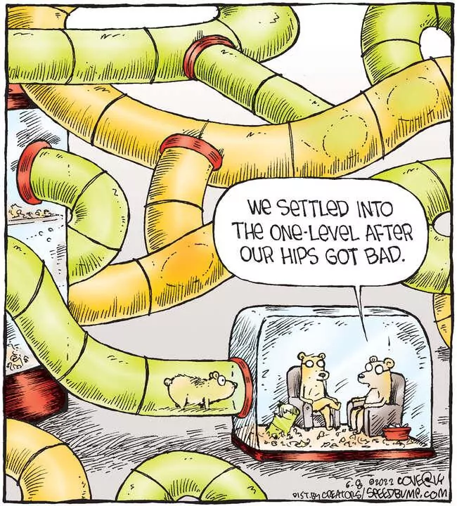 Speed Bump for Jun 08, 2023