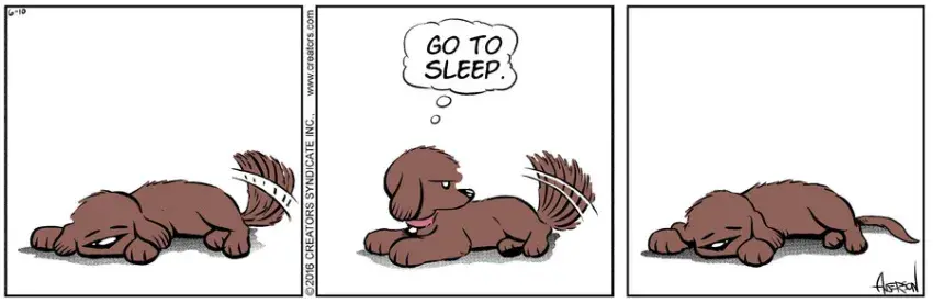 Dog Eat Doug for Jun 10, 2021