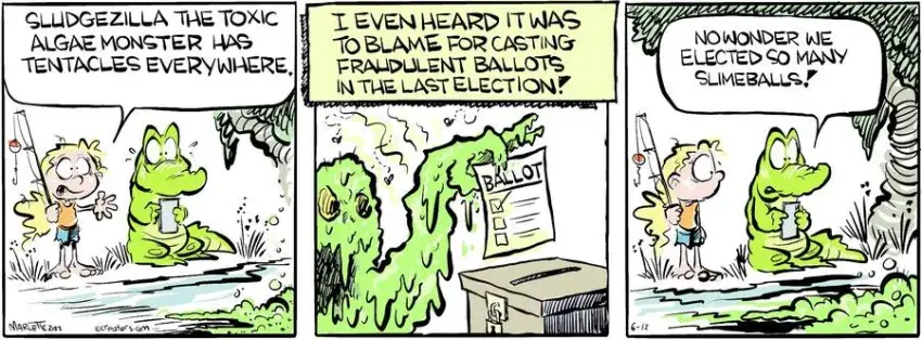 Shrimp and Grits for Jun 12, 2024