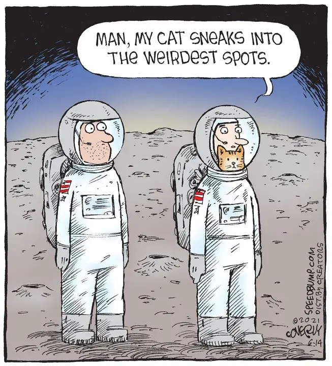 Speed Bump for Jun 14, 2021