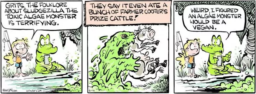 Shrimp and Grits for Jun 14, 2022