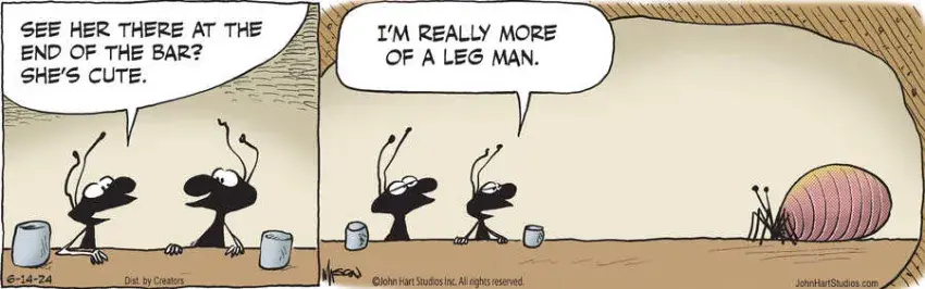 B.C. for Jun 14, 2024