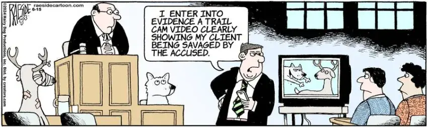 The Other Coast for Jun 15, 2024