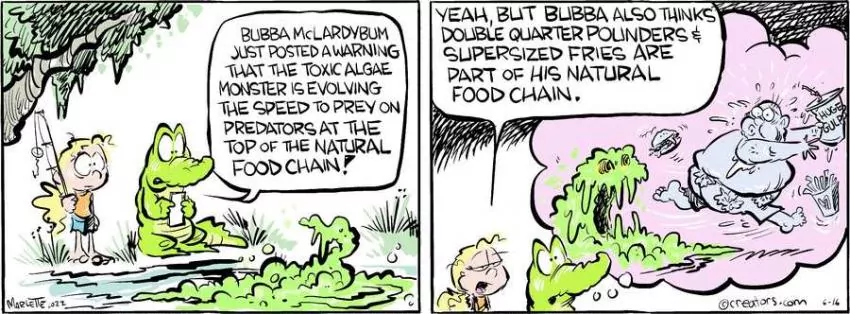 Shrimp and Grits for Jun 16, 2022