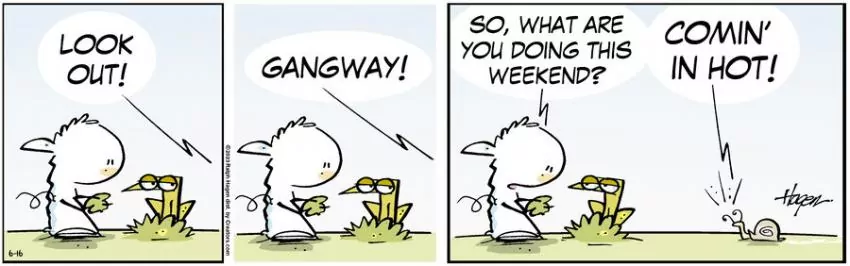 The Barn for Jun 16, 2023