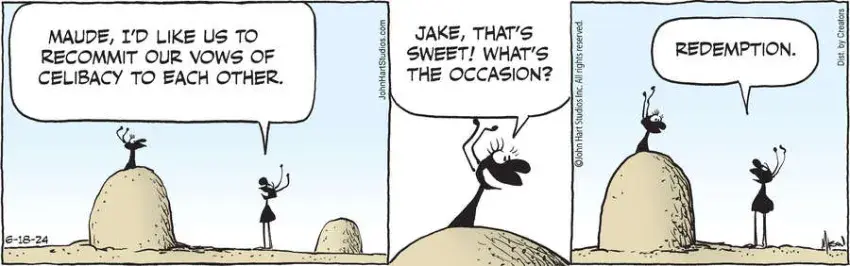 B.C. for Jun 18, 2024