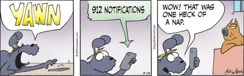 Dogs of C-Kennel for Jun 19, 2024