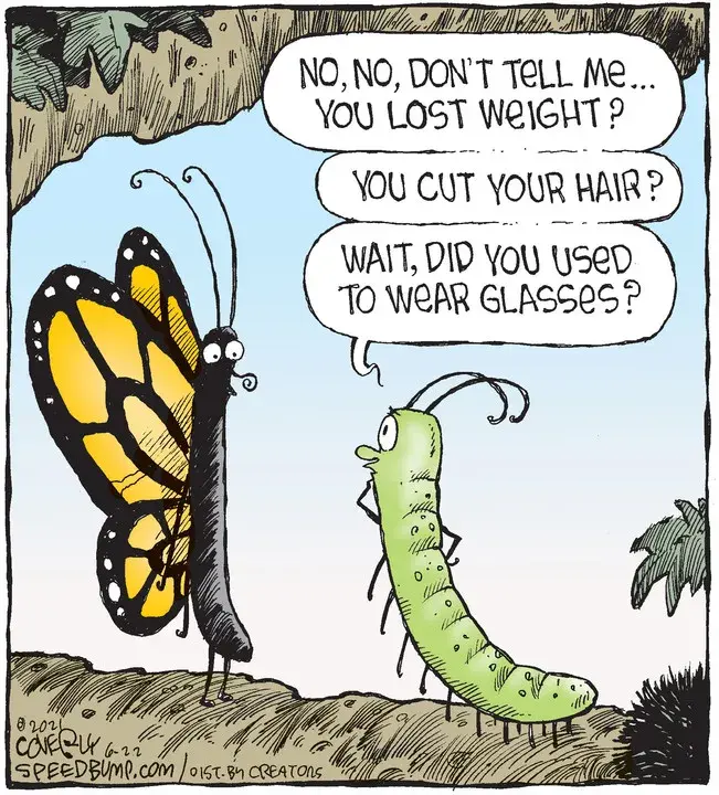 Speed Bump for Jun 22, 2021