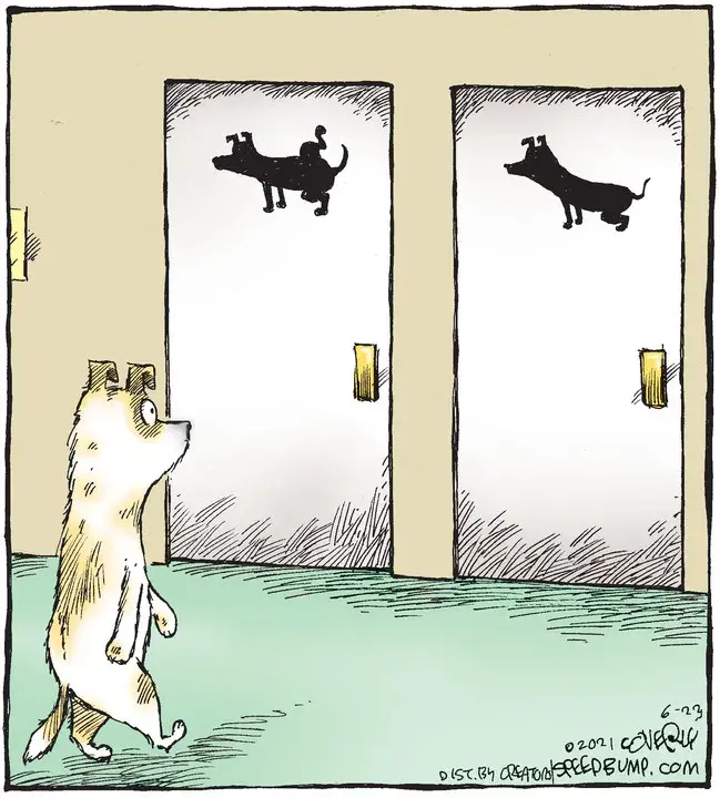 Speed Bump for Jun 23, 2021