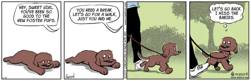 Dog Eat Doug for Jun 24, 2022