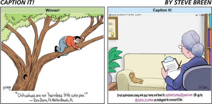 Caption It! for Jun 25, 2023