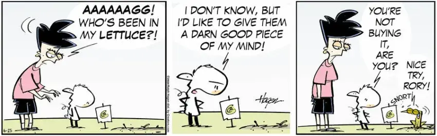 The Barn for Jun 25, 2024