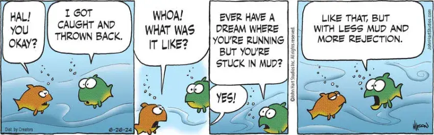 B.C. for Jun 26, 2024