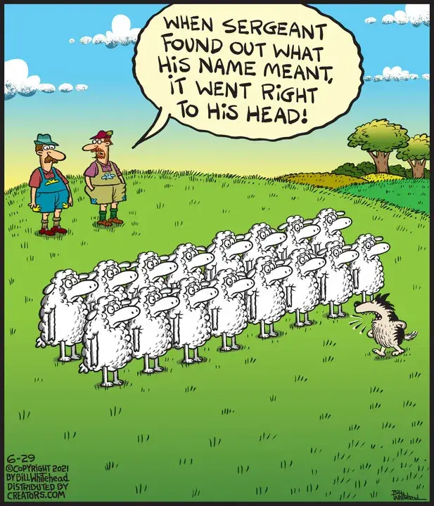 Free Range for Jun 29, 2021